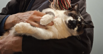 jean luc pet sitter à SARCELLES 95200_0