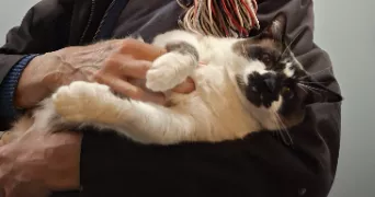 jean luc pet sitter à SARCELLES 95200