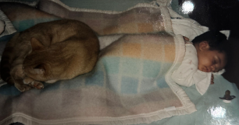 auriane pet sitter à PANTIN 93500_1