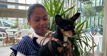 maéva pet sitter à BALMA 31130_1
