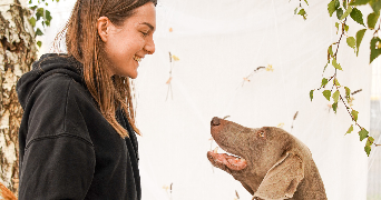 laura pet sitter à CONGERVILLE THIONVILLE 91740_0