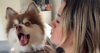margaux pet sitter à LAIGNEVILLE 60290