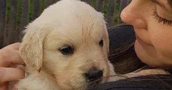 enola pet sitter à ST PRIEST 69800