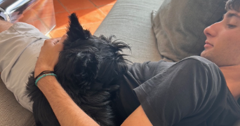 thomas pet sitter à MARSEILLE 02 13002_2