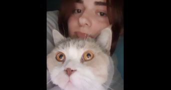 naelle pet sitter à TOULON 83100_2