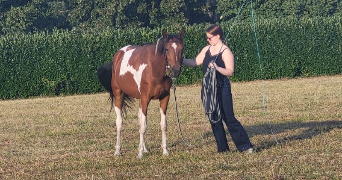 agathe pet sitter à Palaiseau 91120_0