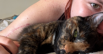 calypso pet sitter à BREBOTTE 90140_1