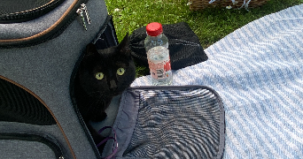 léanne pet sitter à AMIENS 80000_2