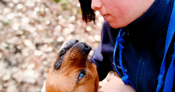 vanessa  pet sitter à BLOIS 41000_2