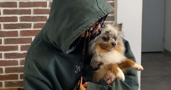 serena pet sitter à RENNES 35000_0