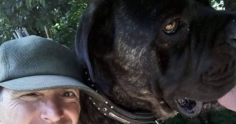 angelo pet sitter à ST BARTHELEMY 38270_3