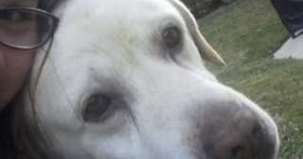 ana pet sitter à RENNES 35200_3