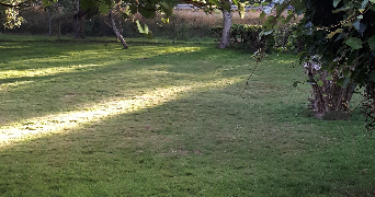 Laëtitia pet sitter à MONTERTELOT 56800_2