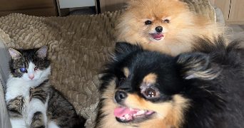 marine pet sitter à VOULANGIS 77580_3