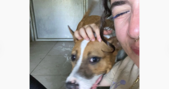 eloïse pet sitter à TOULOUSE 31100_3