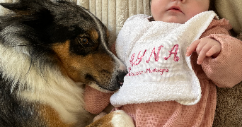 olivia pet sitter à SEVREMOINE 49230_4