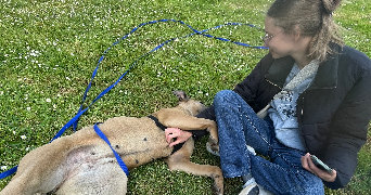 zoé pet sitter à CANDE 49440_1