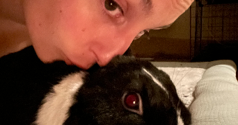 coralie pet sitter à LIMOGES 87000_2