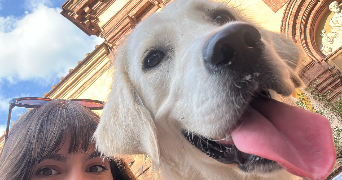 giarmis pet sitter à MONTREUIL 93100_1