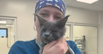 sarah pet sitter à MONTRABE 31850