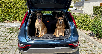 Anne claire pet sitter à Vairé 85150_4