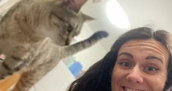 cyrielle cat sitter à CHAMBERY 73000