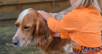marlene pet sitter à AUNEAU BLEURY ST SYMPHORIEN 28700_73