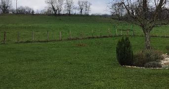 francoise dog sitter à STE ANNE SUR GERVONDE 38440_3