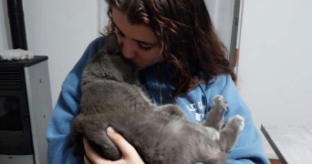 erine cat sitter à LYON 07 69007_1