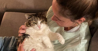 ambre pet sitter à JACOU 34830_2