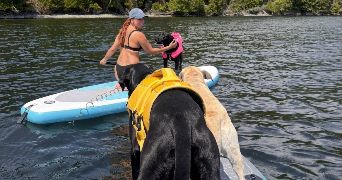 pauline pet sitter à ST GERMAIN SUR MORIN 77860_2