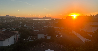 eva pet sitter à BIDART 64210_5