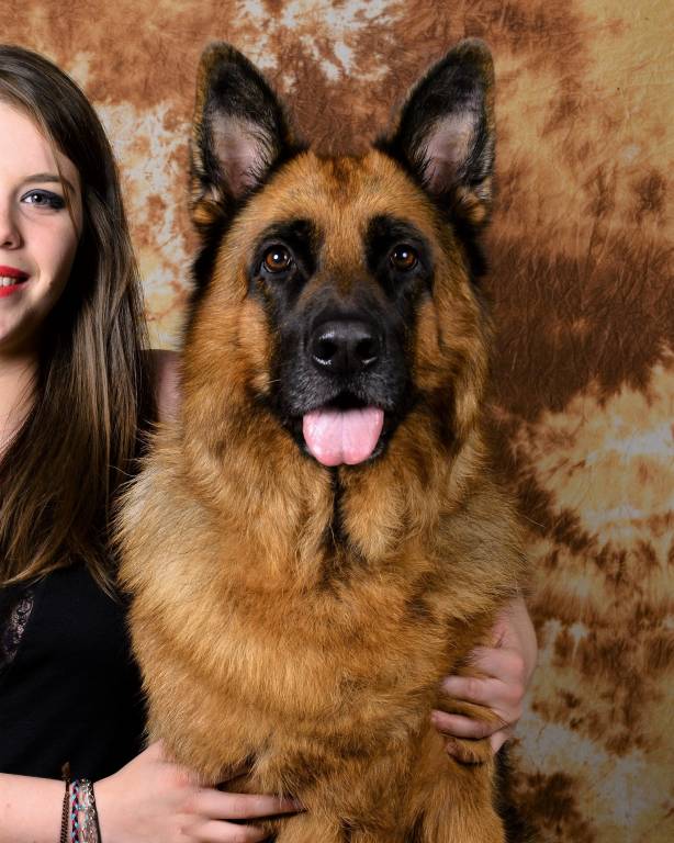 claudie pet sitter à ROZ LANDRIEUX 35120_5