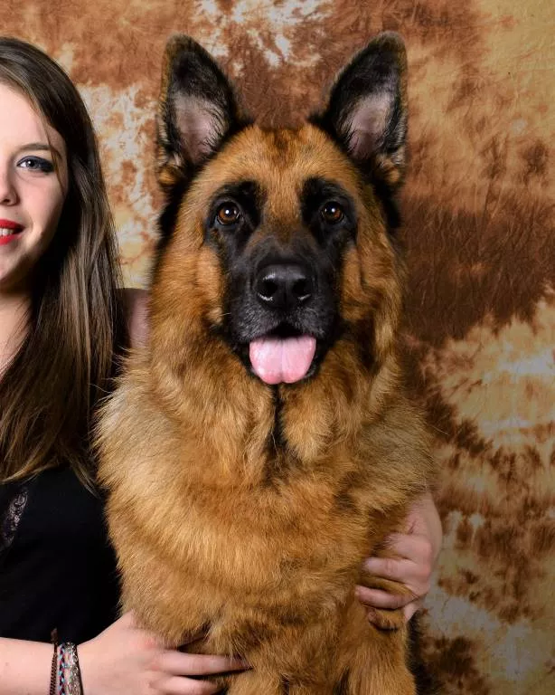 claudie pet sitter à ROZ LANDRIEUX 35120