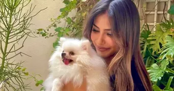 tattou pet sitter à VANVES 92170