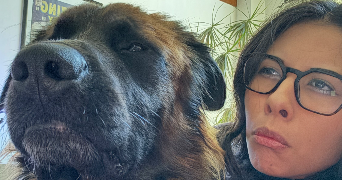 agathe pet sitter à CAVIGNAC 33620_1