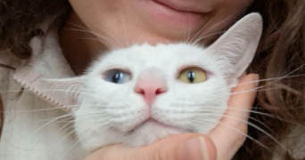 ana pet sitter à THIONVILLE 57100_2