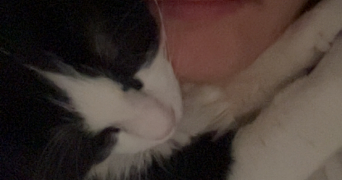 manon pet sitter à SEMUR EN AUXOIS 21140_1
