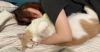 mina pet sitter à QUIMPER 29000_1