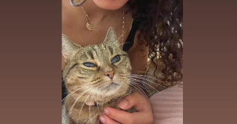 aliya pet sitter à METTRAY 37390_2