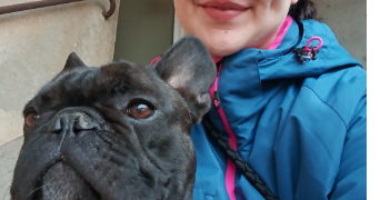 emeline pet sitter à LADOIX SERRIGNY 21550_0