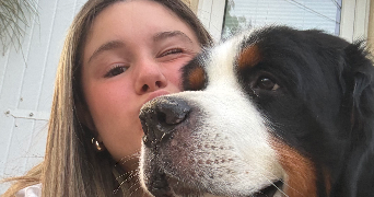 emma pet sitter à BAYONNE 64100_1