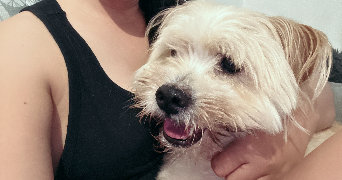 johanna pet sitter à ARGENTEUIL 95100_2