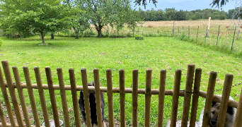 sophia pet sitter à ST SEBASTIEN SUR LOIRE 44230_2