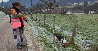 samm pet sitter à STRASBOURG 67000_5