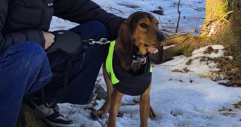 maia pet sitter à SEYSSINET PARISET 38170_1