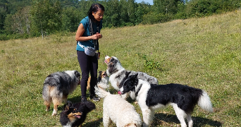 christine pet sitter à ST GERVAIS 95420_9