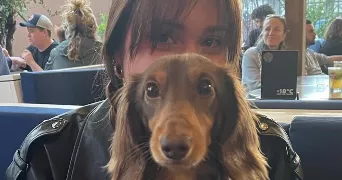camille pet sitter à Bordeaux 33000