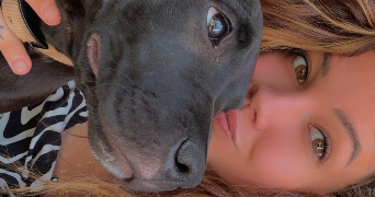 melia pet sitter à DIVATTE SUR LOIRE 44450_1