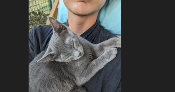 Émaé pet sitter à MARSEILLE 04 13004_1